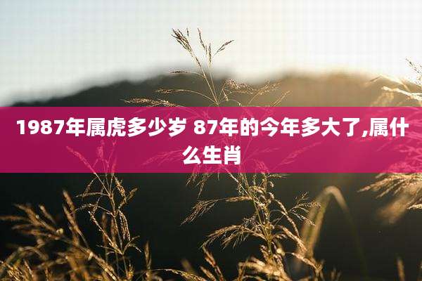 1987年属虎多少岁 87年的今年多大了,属什么生肖