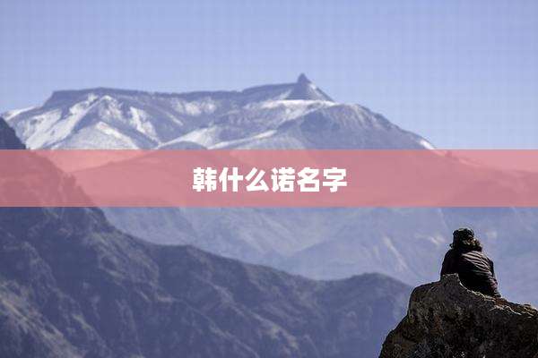 韩什么诺名字