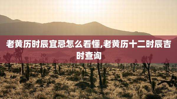 老黄历时辰宜忌怎么看懂,老黄历十二时辰吉时查询