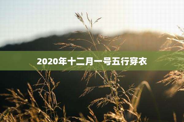 2020年十二月一号五行穿衣