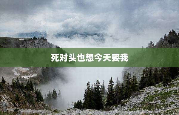 死对头也想今天娶我