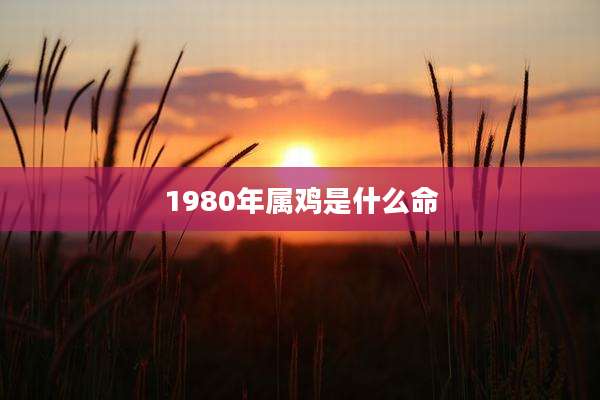 1980年属鸡是什么命