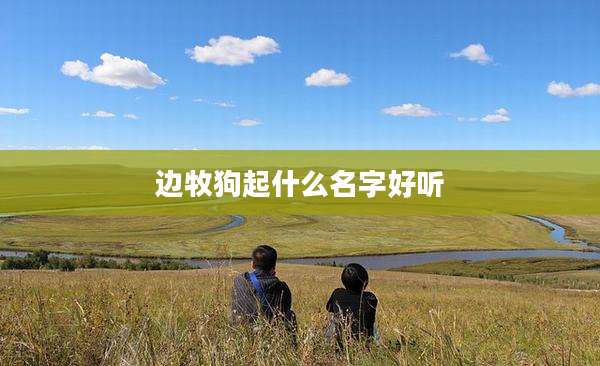 边牧狗起什么名字好听