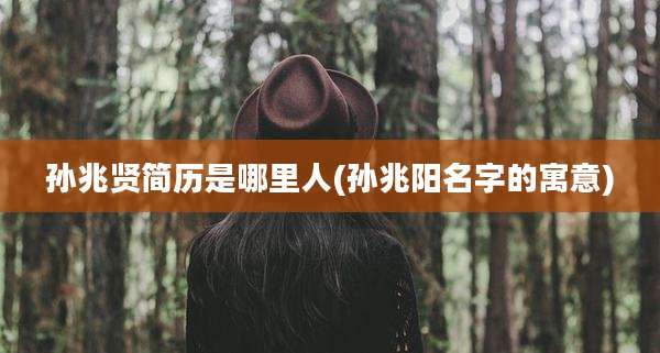 孙兆贤简历是哪里人(孙兆阳名字的寓意)