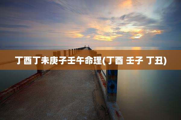 丁酉丁未庚子壬午命理(丁酉 壬子 丁丑)