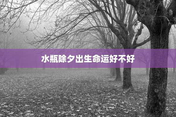 水瓶除夕出生命运好不好
