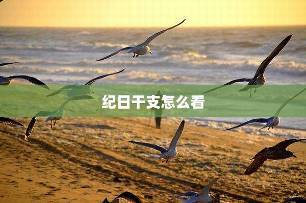 纪日干支怎么看