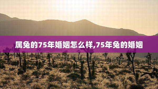 属兔的75年婚姻怎么样,75年兔的婚姻