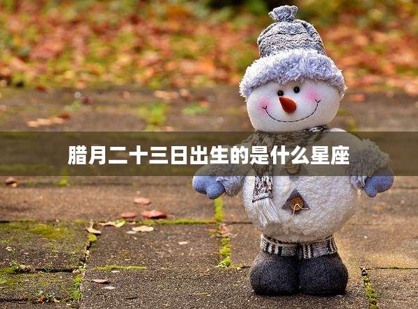 腊月二十三日出生的是什么星座