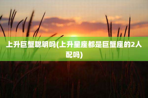 上升巨蟹聪明吗(上升星座都是巨蟹座的2人配吗)