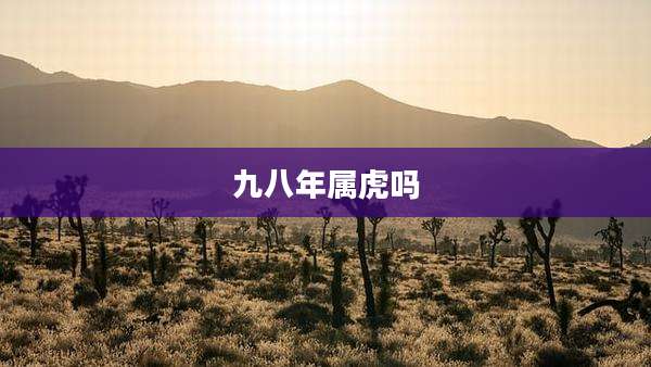 九八年属虎吗