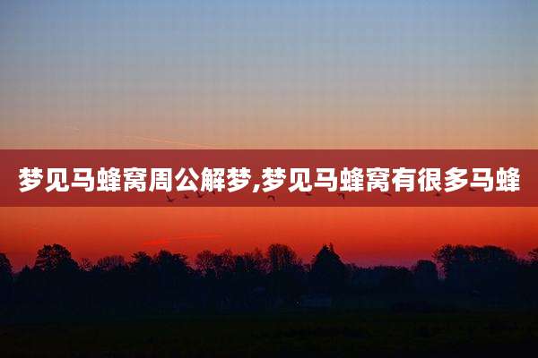 梦见马蜂窝周公解梦,梦见马蜂窝有很多马蜂