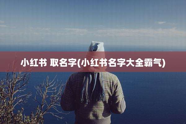 小红书 取名字(小红书名字大全霸气)