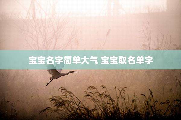 宝宝名字简单大气 宝宝取名单字
