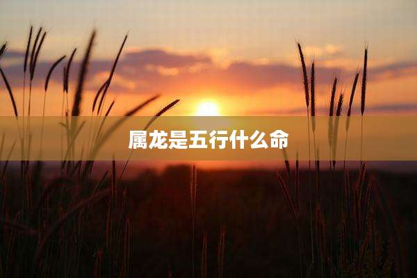 属龙是五行什么命