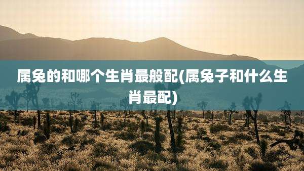 属兔的和哪个生肖最般配(属兔子和什么生肖最配)