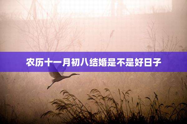 农历十一月初八结婚是不是好日子