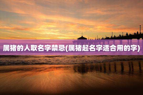 属猪的人取名字禁忌(属猪起名字适合用的字)