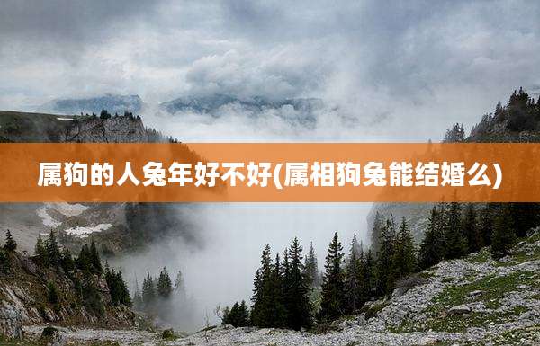 属狗的人兔年好不好(属相狗兔能结婚么)