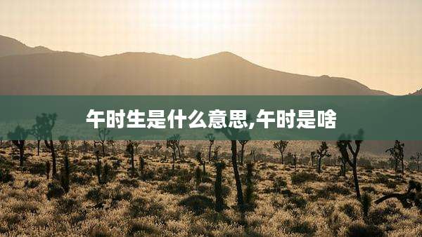 午时生是什么意思,午时是啥