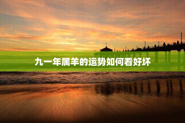 九一年属羊的运势如何看好坏
