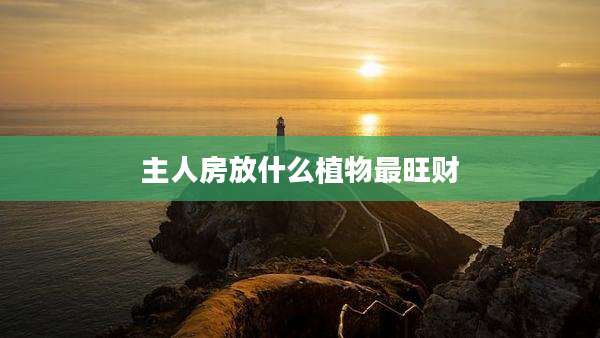 主人房放什么植物最旺财