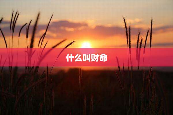 什么叫财命