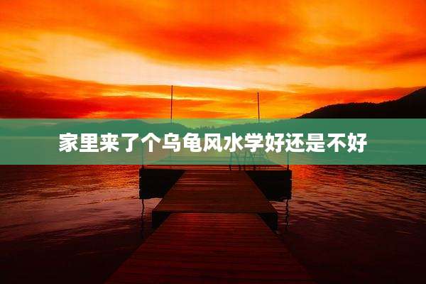 家里来了个乌龟风水学好还是不好
