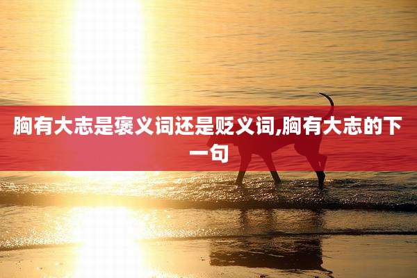 胸有大志是褒义词还是贬义词,胸有大志的下一句