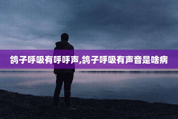鸽子呼吸有呼呼声,鸽子呼吸有声音是啥病