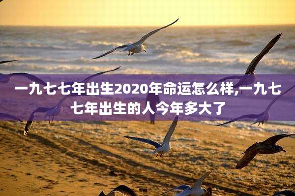 一九七七年出生2020年命运怎么样,一九七七年出生的人今年多大了