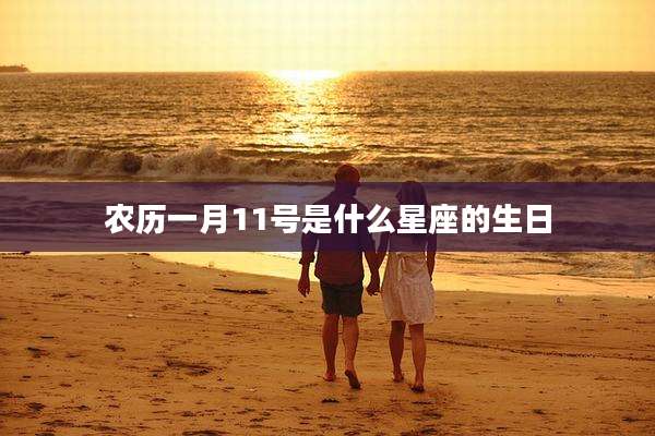 农历一月11号是什么星座的生日