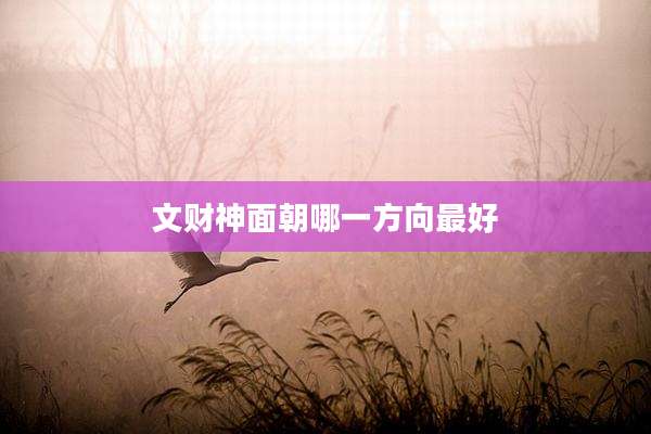 文财神面朝哪一方向最好