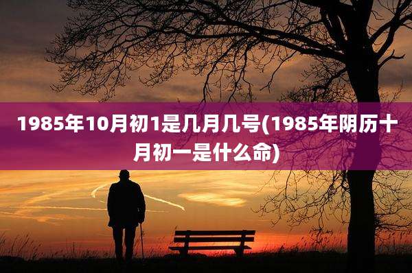 1985年10月初1是几月几号(1985年阴历十月初一是什么命)