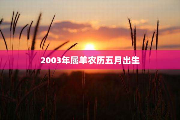 2003年属羊农历五月出生