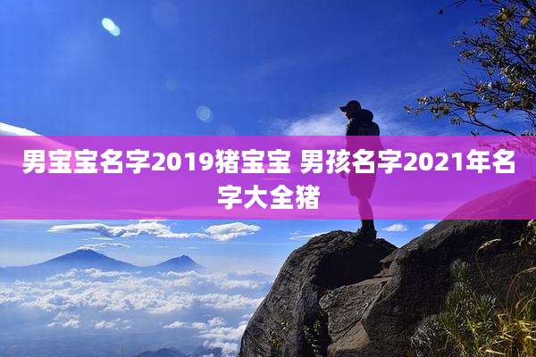 男宝宝名字2019猪宝宝 男孩名字2021年名字大全猪