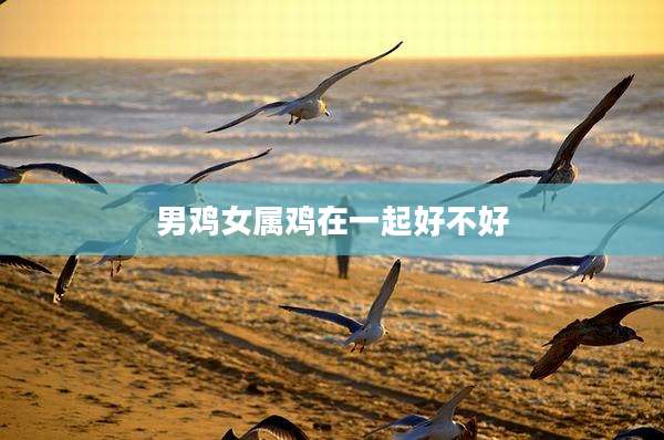 男鸡女属鸡在一起好不好