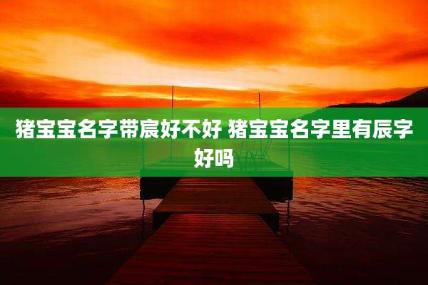 猪宝宝名字带宸好不好 猪宝宝名字里有辰字好吗