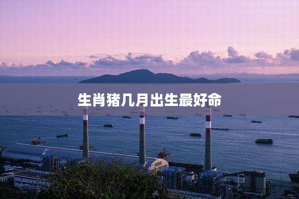 生肖猪几月出生最好命