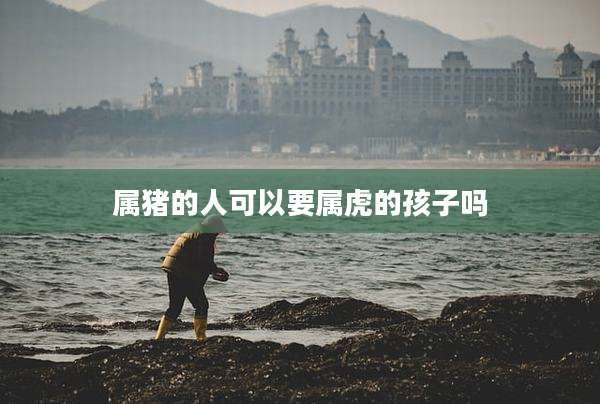 属猪的人可以要属虎的孩子吗