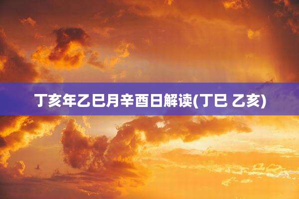 丁亥年乙巳月辛酉日解读(丁巳 乙亥)