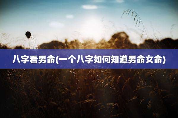 八字看男命(一个八字如何知道男命女命)