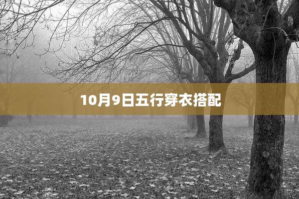 10月9日五行穿衣搭配