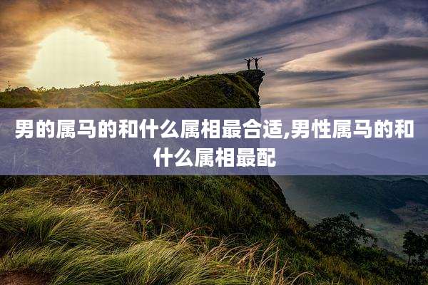 男的属马的和什么属相最合适,男性属马的和什么属相最配