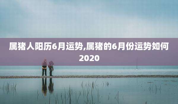 属猪人阳历6月运势,属猪的6月份运势如何2020