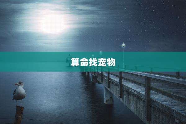 算命找宠物