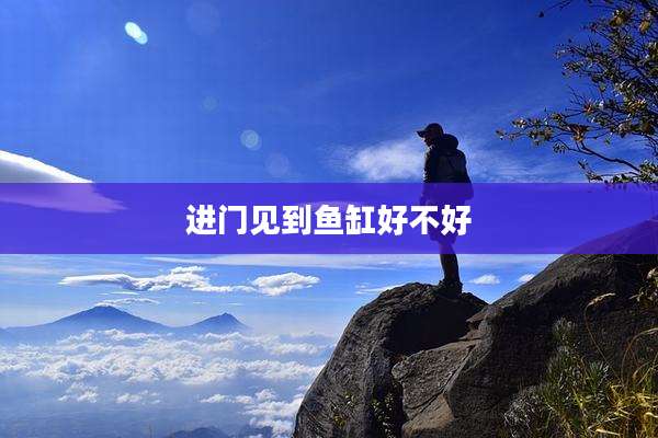进门见到鱼缸好不好