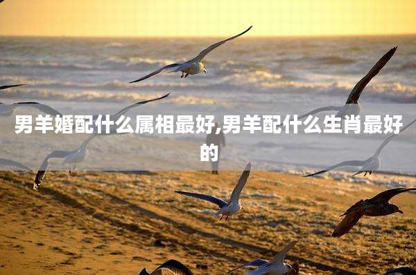 男羊婚配什么属相最好,男羊配什么生肖最好的