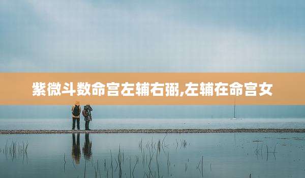紫微斗数命宫左辅右弼,左辅在命宫女
