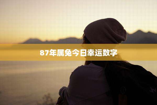 87年属兔今日幸运数字